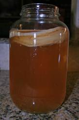 jar with SCOBY is part of the kombucha recipe