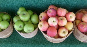 health benefits of apple