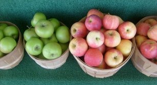 health benefits of apple